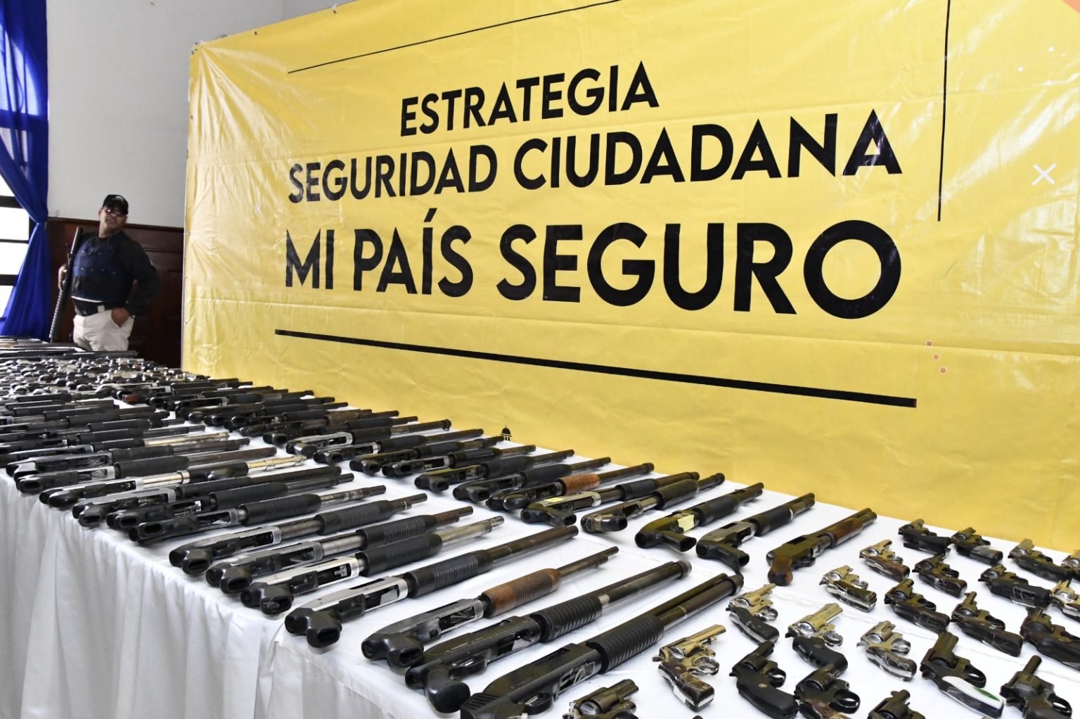 Ministro de Interior recibe del ministerio público 719 armas decomisadas en la provincia Duarte
