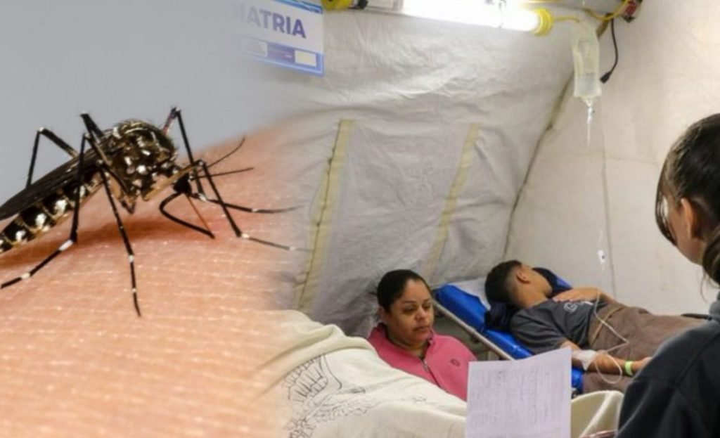Brasil supera las 1,000 muertes por dengue y se aproxima a vencer récord